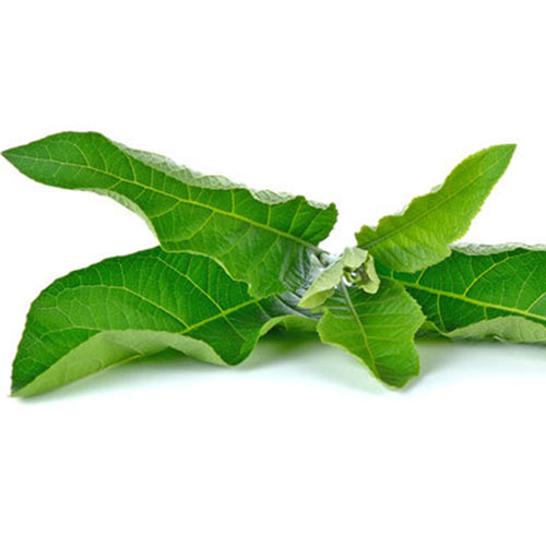 best herbal honey nivarani
